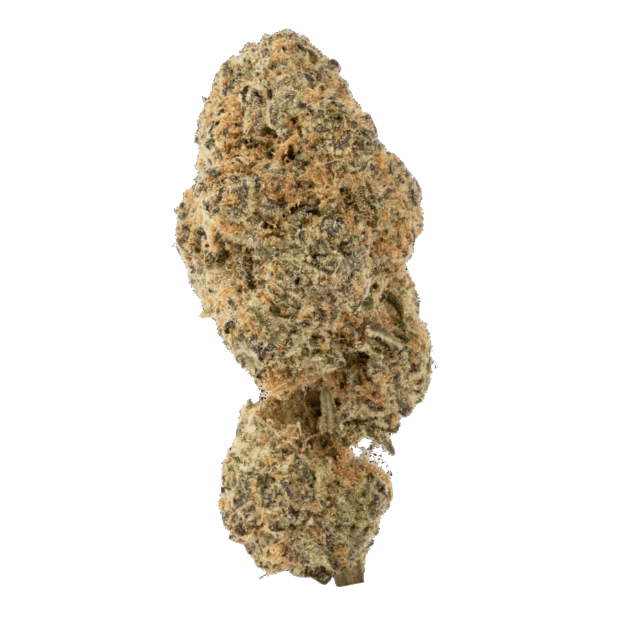 Image of Garry Poppins Exotic THCA Hemp Flower